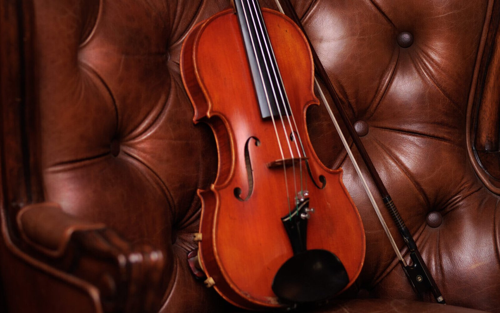 Do Online Violin Lessons Really Work for Adults?